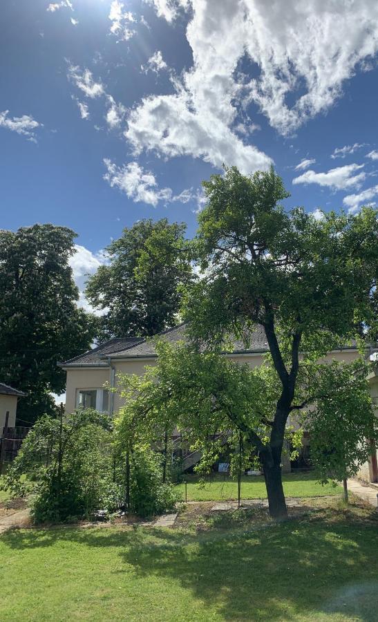 Sylvia House Villa Keszthely Kültér fotó